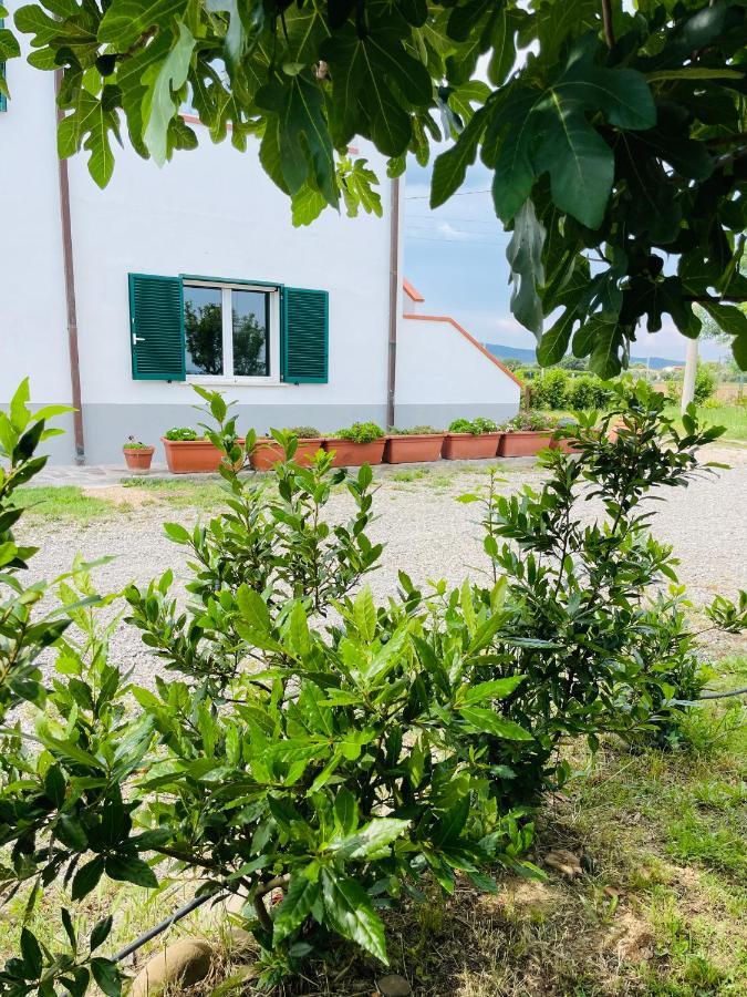 Podere San Sebastiano Apartment Castiglione della Pescaia