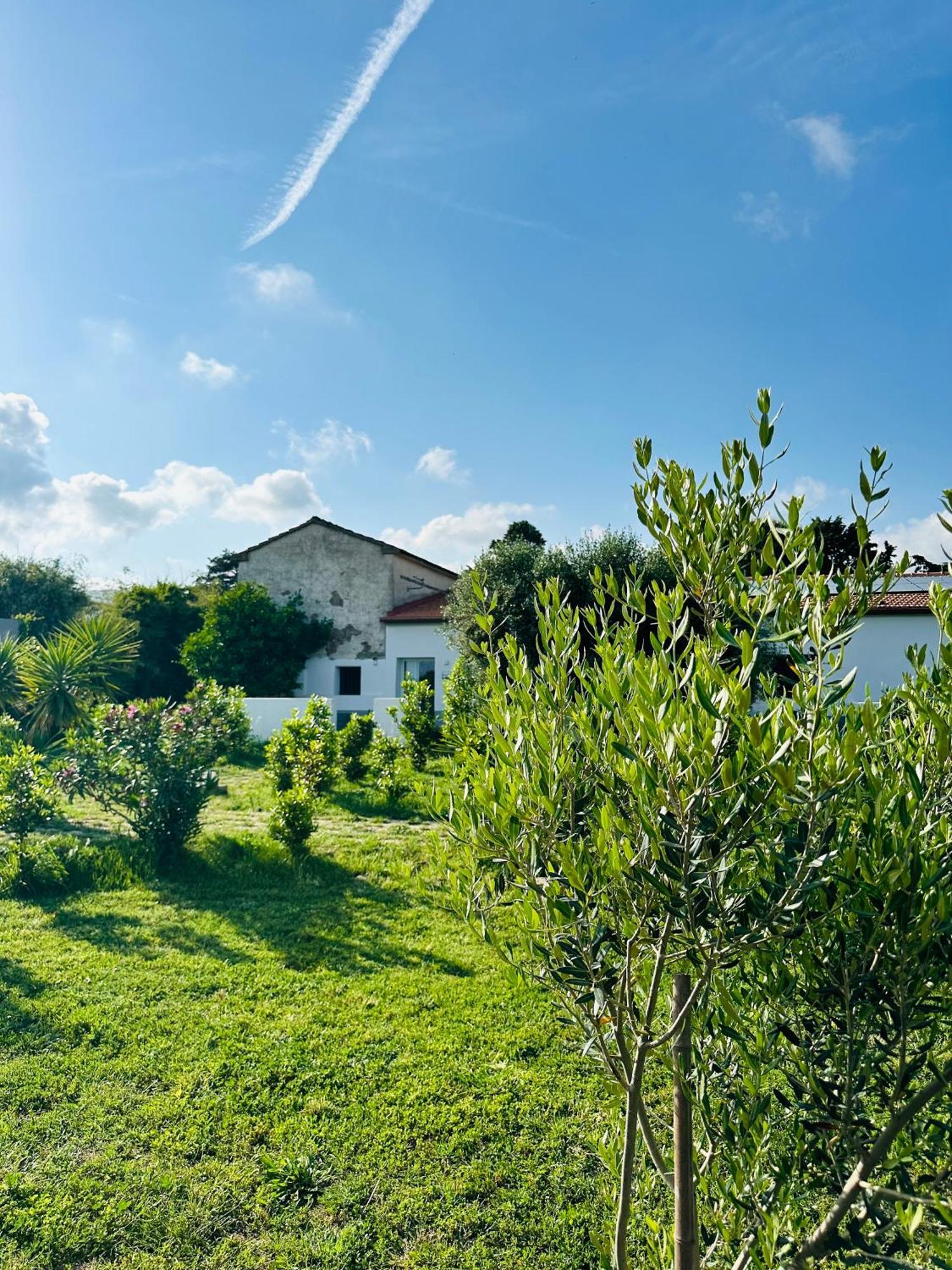 Podere San Sebastiano *