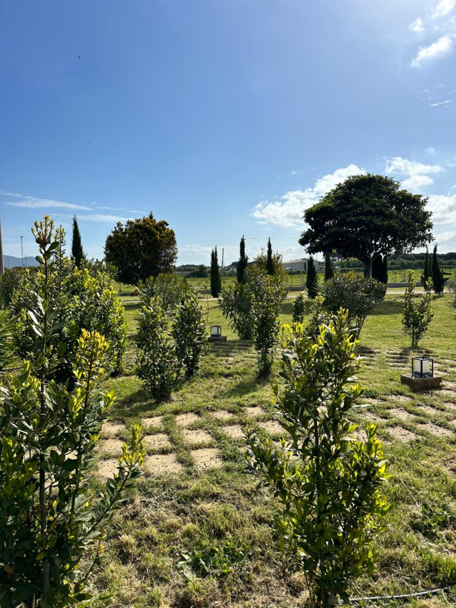 Podere San Sebastiano * Castiglione della Pescaia