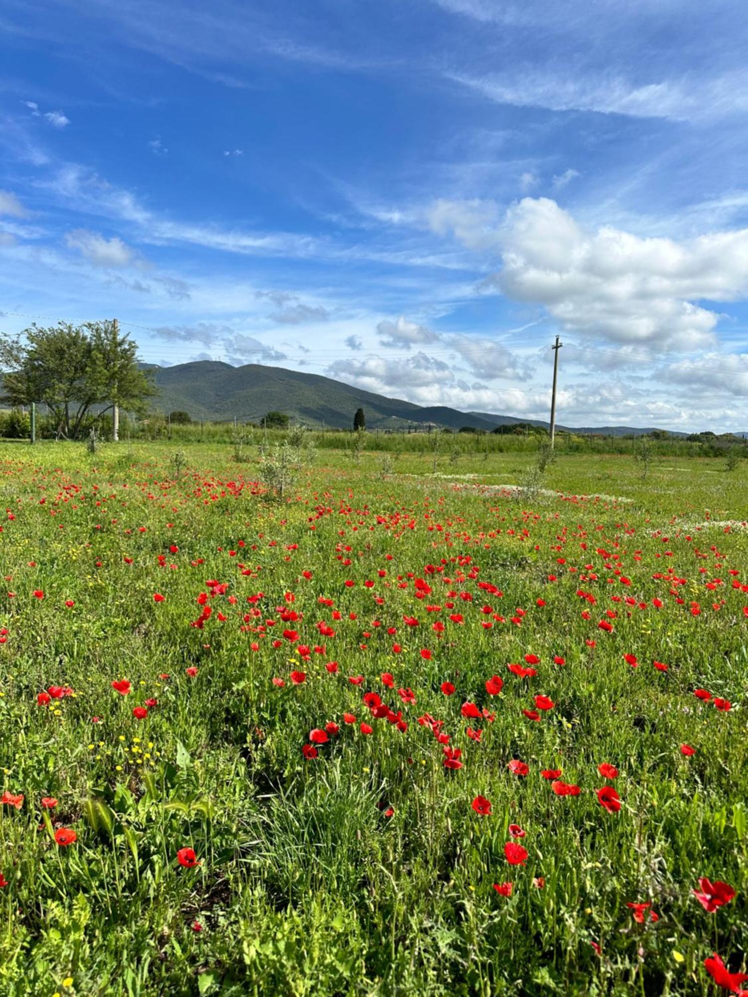 Podere San Sebastiano