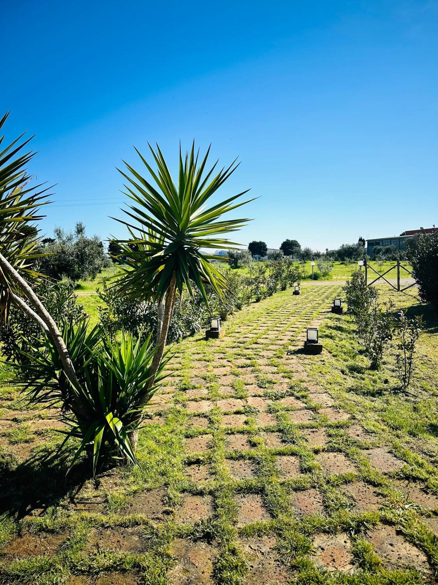 Podere San Sebastiano Apartment