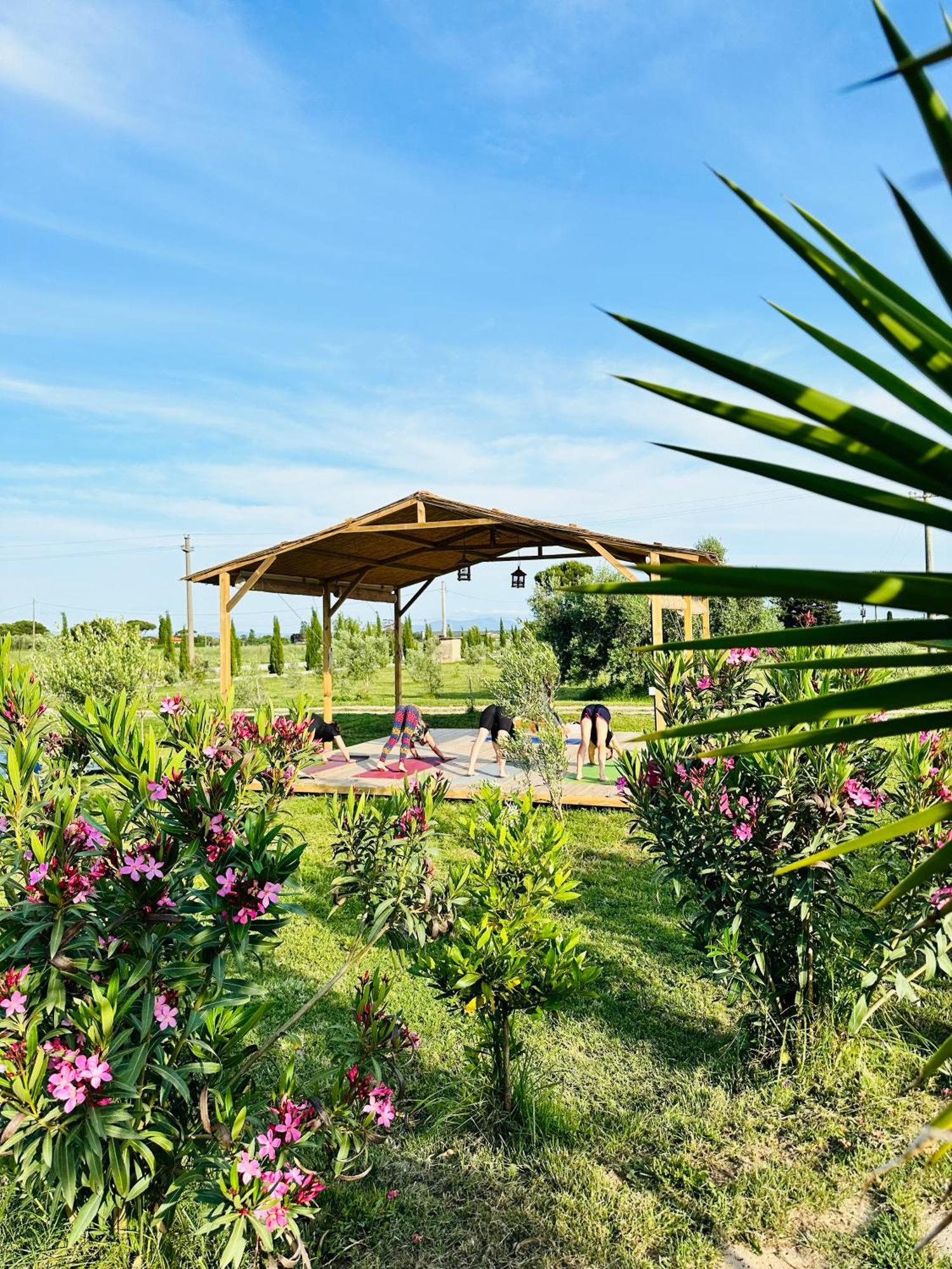 Podere San Sebastiano Apartment Castiglione della Pescaia